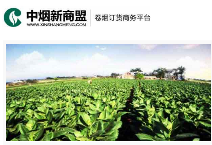 中烟新商盟卷烟订货商务平台-五彩堂大厅