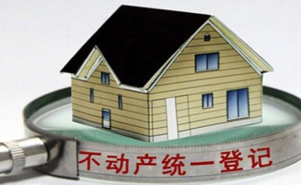 五彩堂大厅不动产登记信息管理系统解决方案